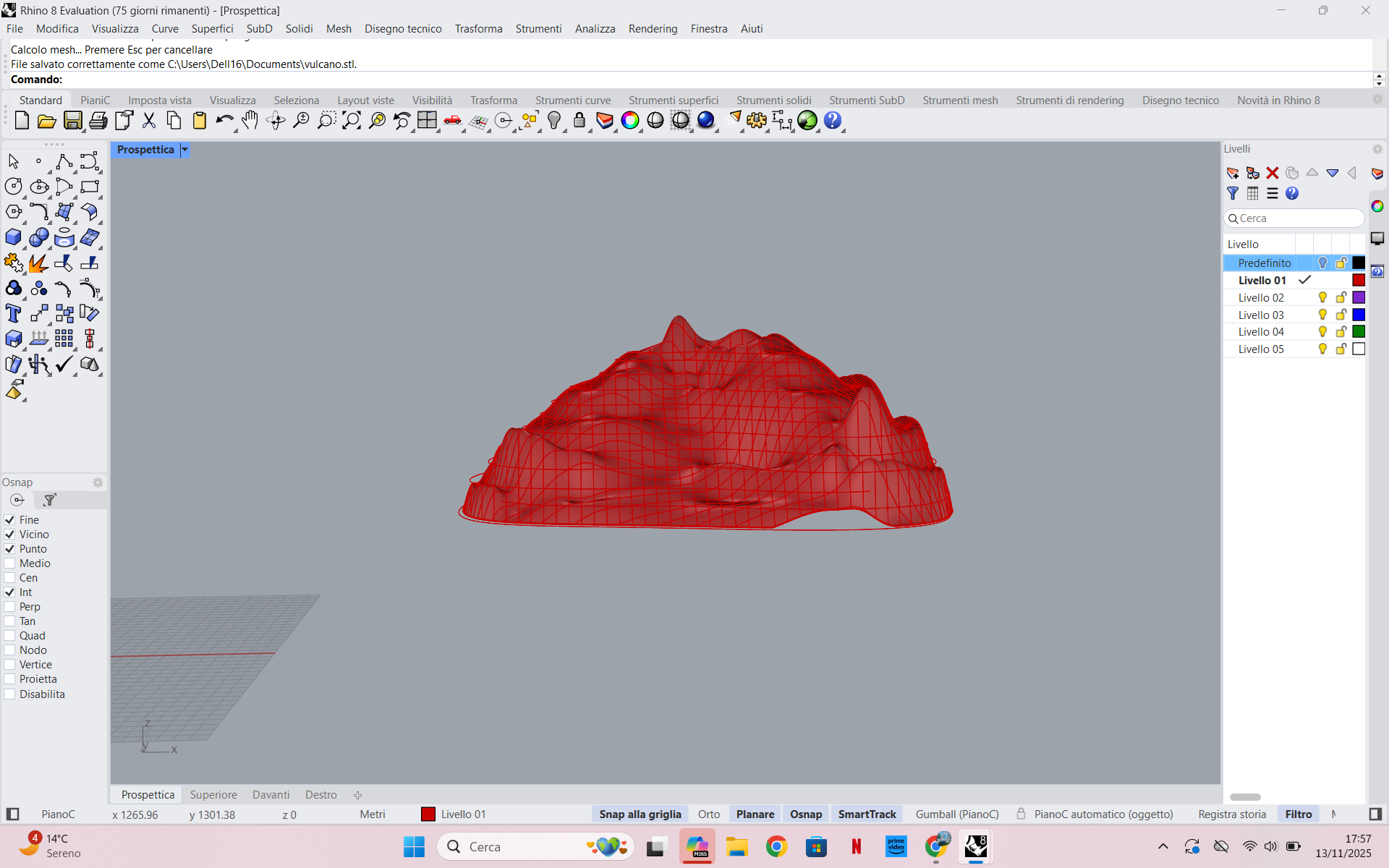 screenshot del lavoro svolto.