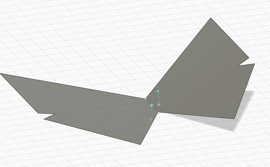 immagine ali in movimento